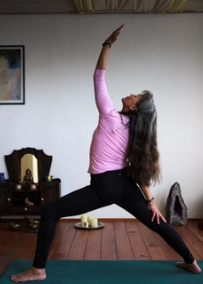 de krijger/yogapose/kracht/focus