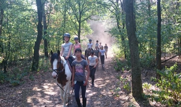 Open dag bij manege Gooi en Eemland.