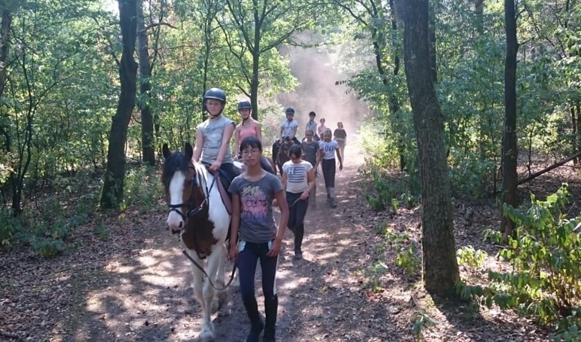 Open dag bij manege Gooi en Eemland.