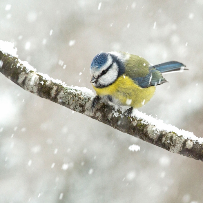 OERRR Winters struinen