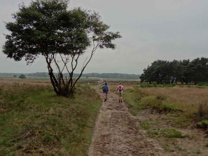 Wandelen is goed voor lichaam en geest