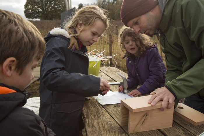 Bouw je eigen vogelhuisje
