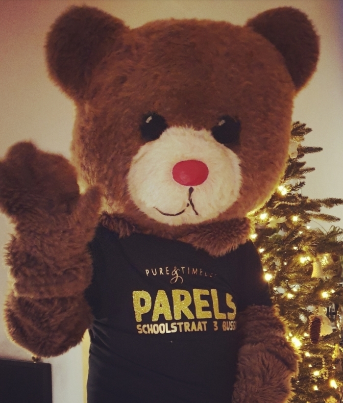 Mascotte Knuffelbeer