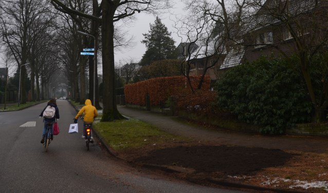 Oude boom is weggehaald.