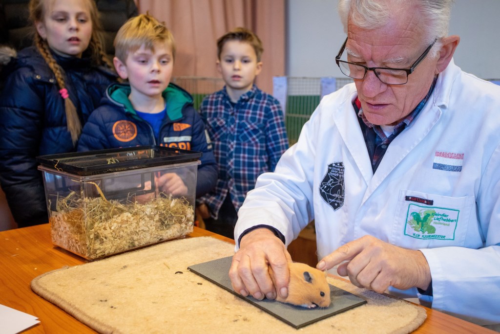 Het werk van de keurmeester wordt aanschouwt door de kinderen.