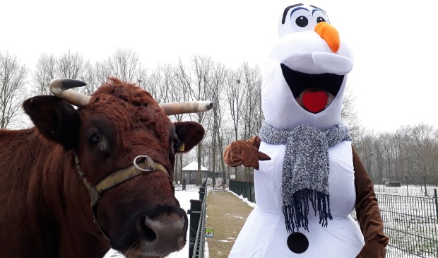 Olaf uit Frozen is ook van de partij tijdens het winterfeest!