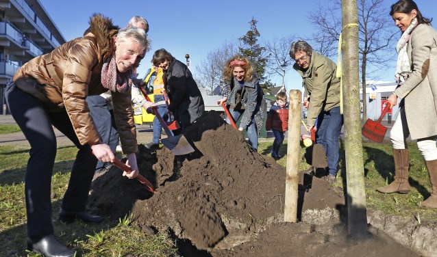 Wethouder Boersen (l) plant een 'bijenboom'.