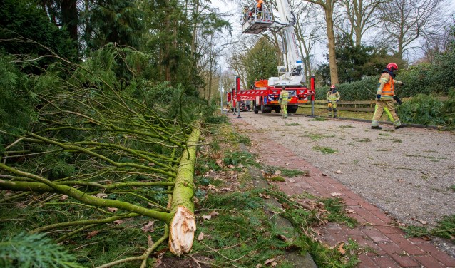 Stormschade op de Drift.