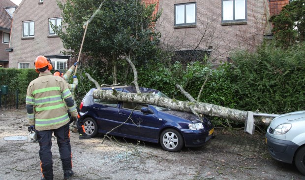 De brandweer haalt de omgewaaide boom weg.