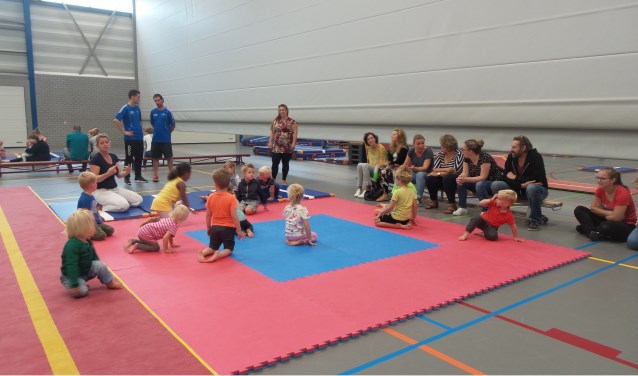 Er is van alles te doen voor kinderen in sporthal en zwembad De Meent.