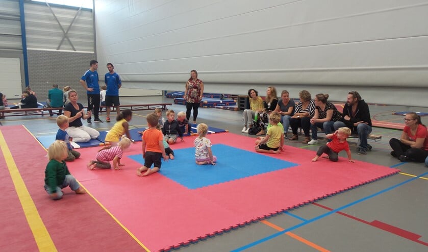 Er is van alles te doen voor kinderen in sporthal en zwembad De Meent.