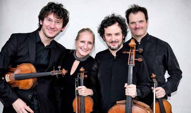 De nieuwe bezetting van het Navarra String Quartet.