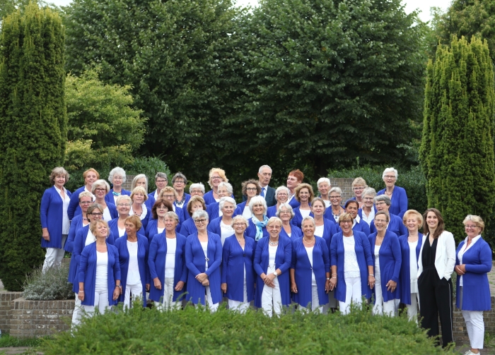 SmartTease uit Bussum