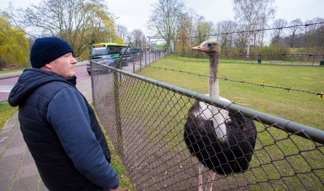 Wie is hier het nieuwsgierigste?