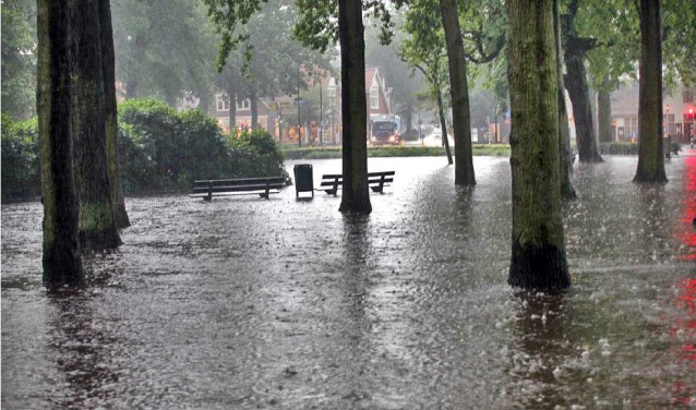 De Brink op 28 juli 2014.