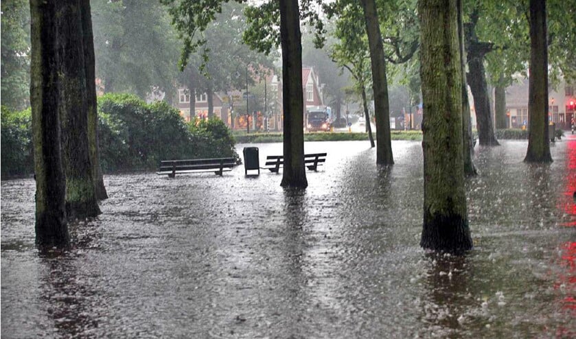 De Brink op 28 juli 2014.