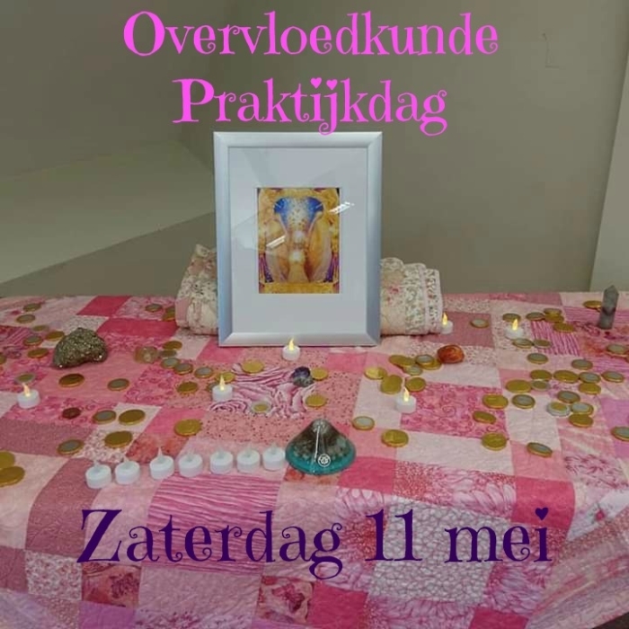 Overvloedkunde Praktijkdag