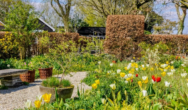 De tuin is nu op haar mooist.