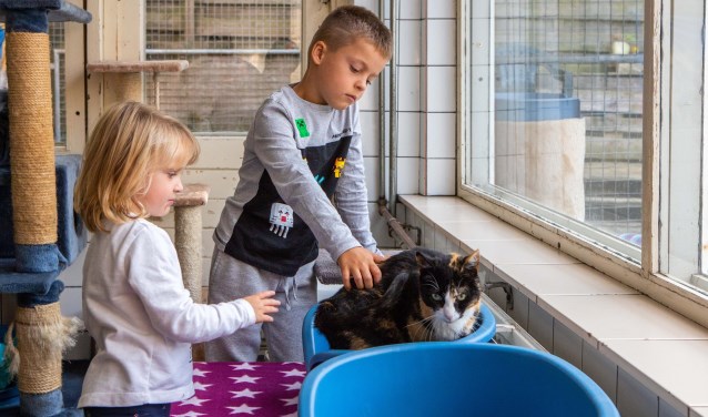 Crailo vorig jaar tijdens een open dag.