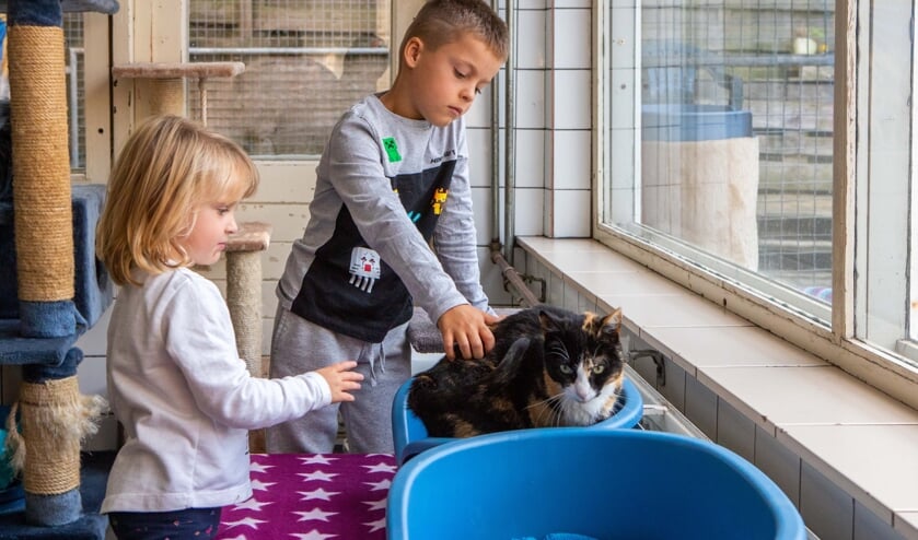 Crailo vorig jaar tijdens een open dag.