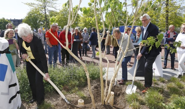 De drachtboom bij het BEL-kantoor in Eemnes.