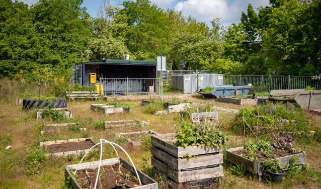 De moestuinen met op de achtergrond de container.