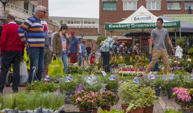 Er zijn weer volop planten te koop.