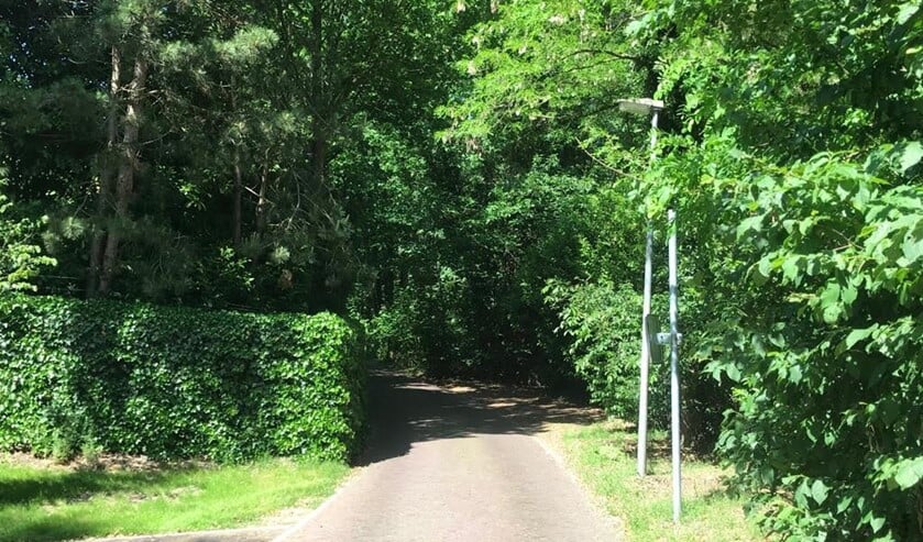 De Lange Wijnen.