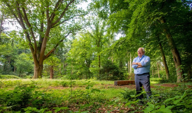 De favoriete plek van Bert Barkmeijer is bij deze boom. 'Sprookjesachtig.'