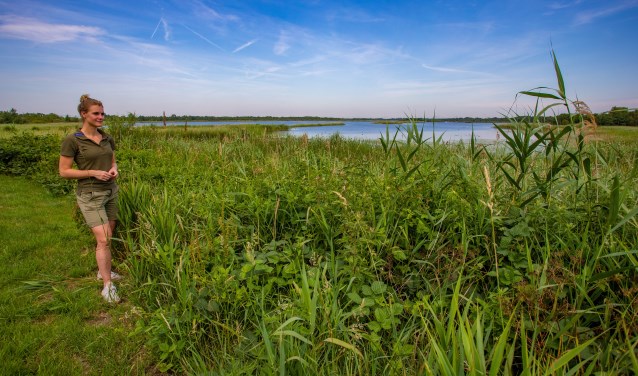 Boswachter Hanne Tersmette leert nog elke dag van de natuur.