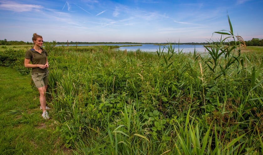 Boswachter Hanne Tersmette leert nog elke dag van de natuur.