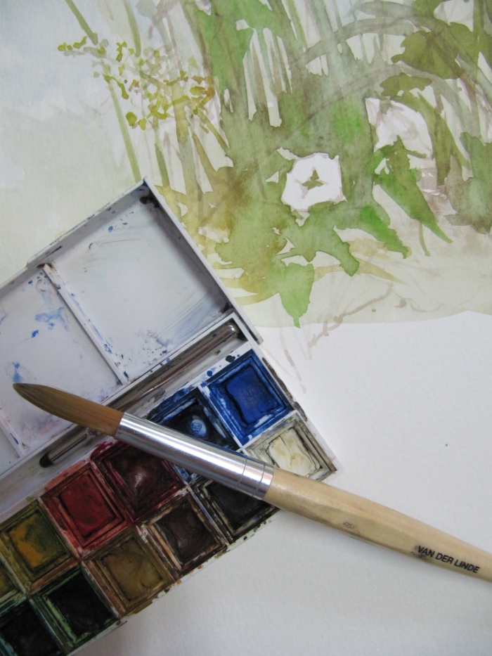 Basiscursus Aquarelleren Comello-Art