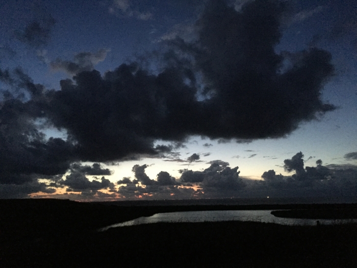 Op weg naar het licht