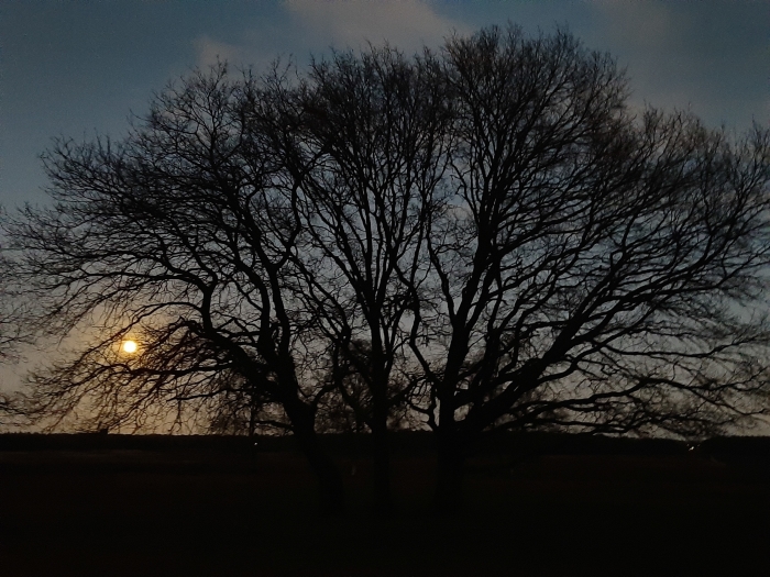 volle maan op de Westerheide