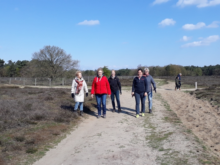 Mindful wandelen op de Tafelberg