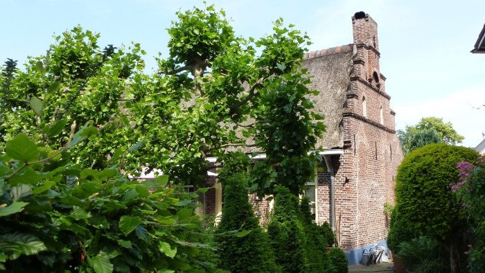 Voorbaan