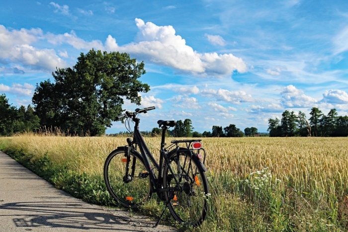 Ga jij ook je fiets gebruiken?
