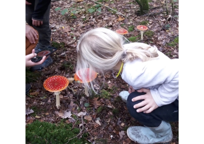 kind bewondert paddenstoel