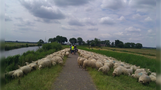 Eem bij Eemdijk