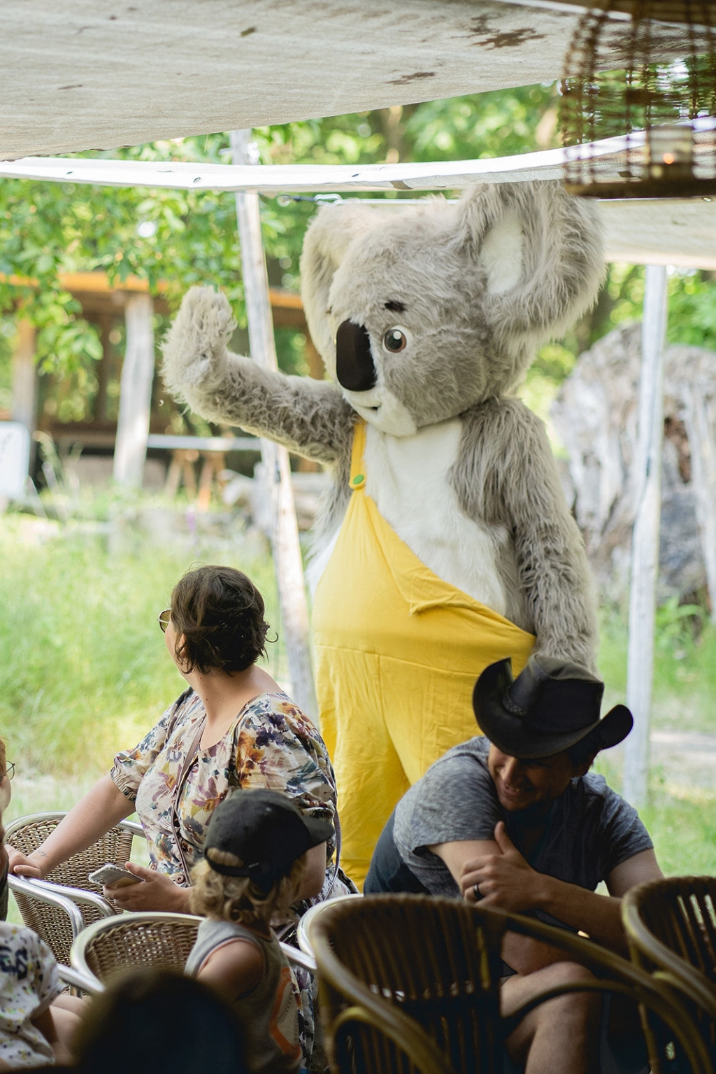 Bosbiosje met Koos de Koala