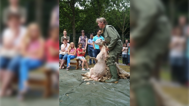 Marion geeft een demonstratie van het scheren