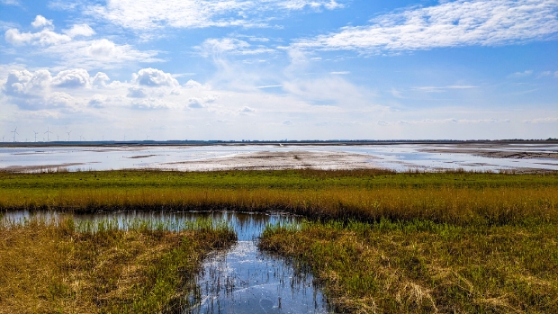 Oostvaardersplassen