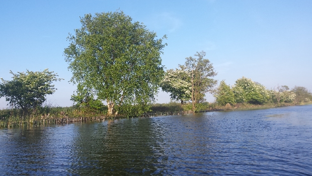 Dammerkade Ankeveen