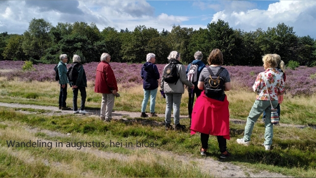 wandeling in het mooie Gooi