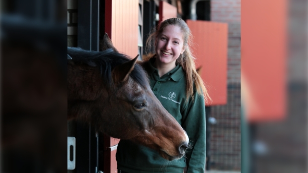 In the spotlight: De paardenverzorger