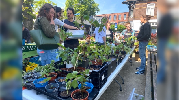 Planten(ruil)markt 2024