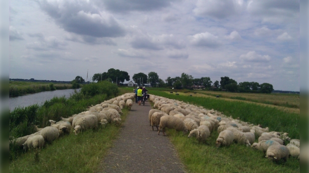 Eempolder