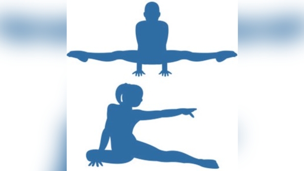 BodyFit