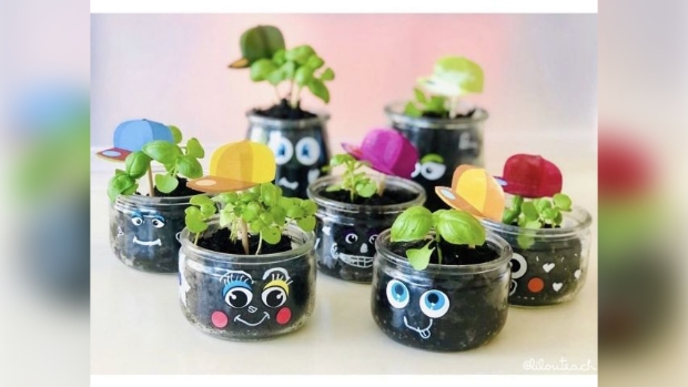 plantjes planten