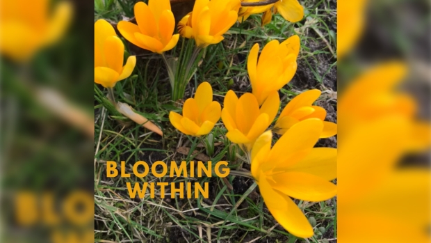 Blooming Within Retreat